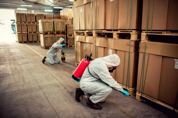 Best Residential Pest Control  in Manawa, WI