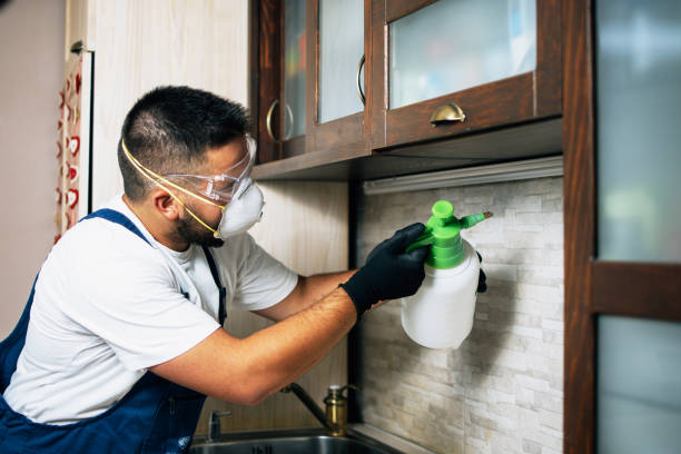 Reliable Manawa, WI Pest Control Solutions
