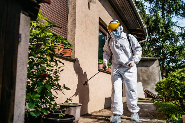 Best Affordable Pest Control Services  in Manawa, WI