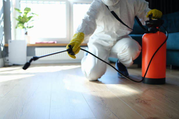 Flea Control Services in Manawa, WI