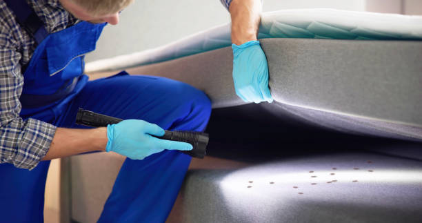 Best Flea Control Services  in Manawa, WI