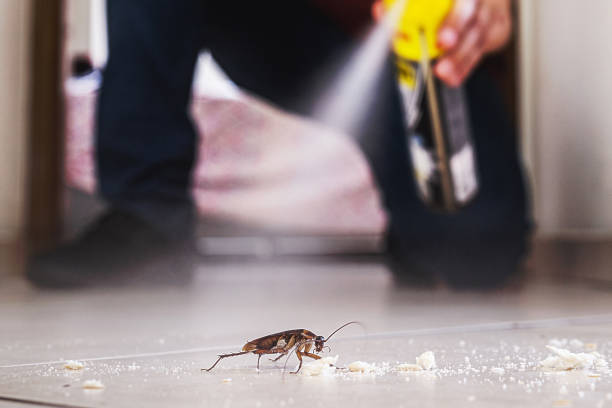 Best Termite Control Services  in Manawa, WI