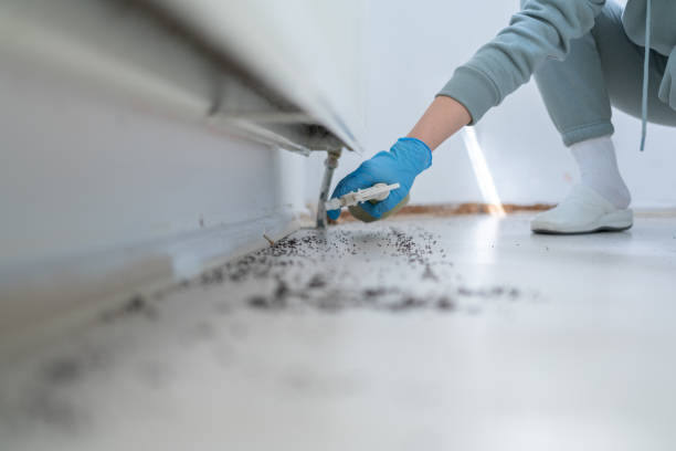 Best Cockroach Control Services  in Manawa, WI