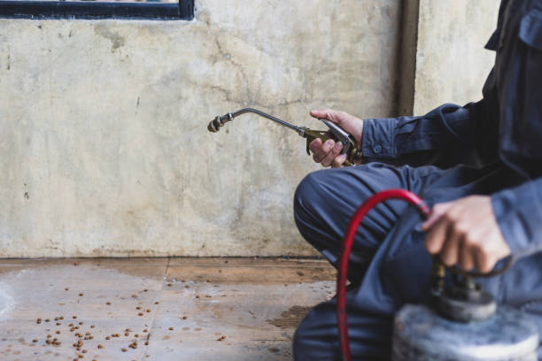 Best Pest Inspection Near Me  in Manawa, WI