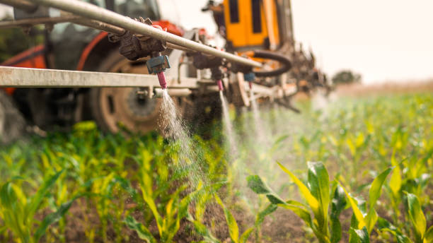 Best Pest Prevention Services  in Manawa, WI
